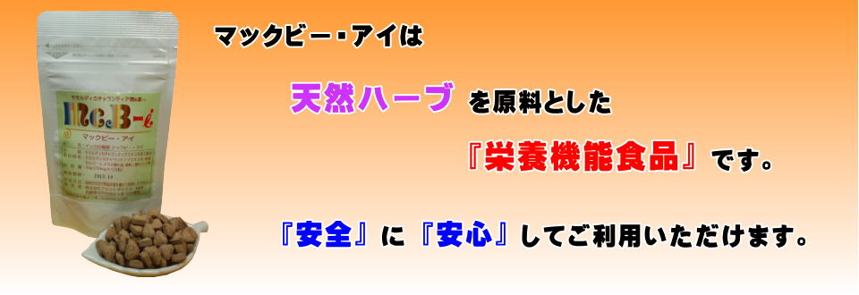 メインイメージ２